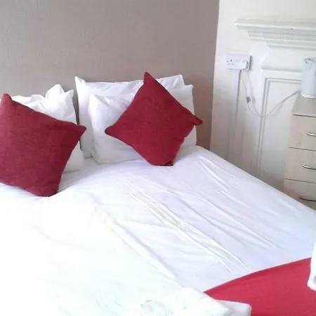 The Saddle אורחן יורק